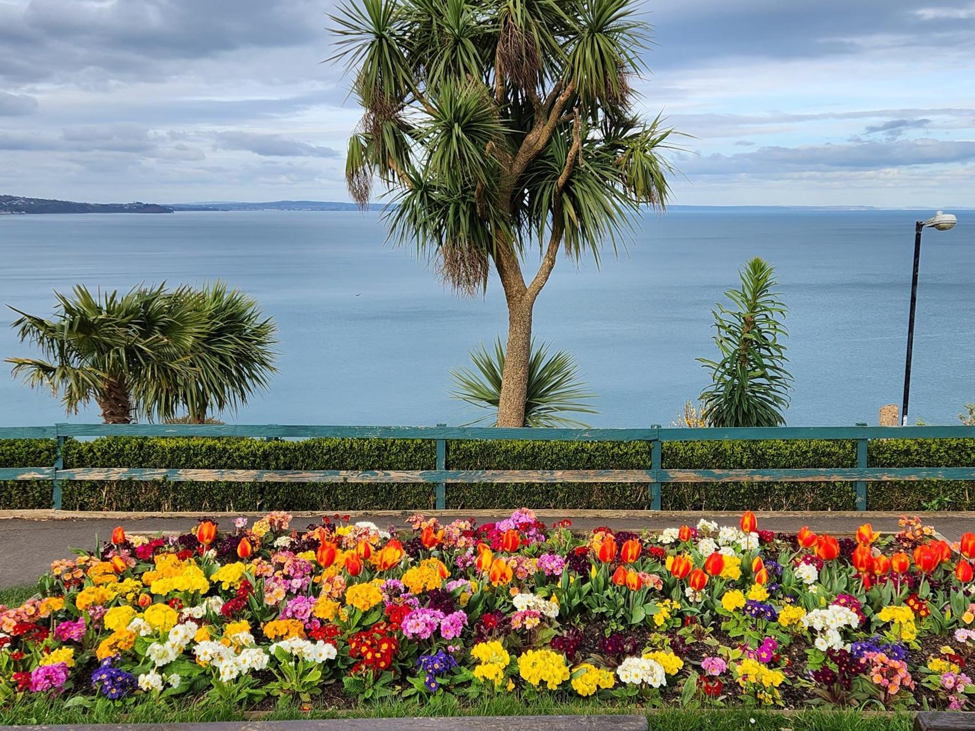 Rose Court Holiday Apartments Torquay Luaran gambar