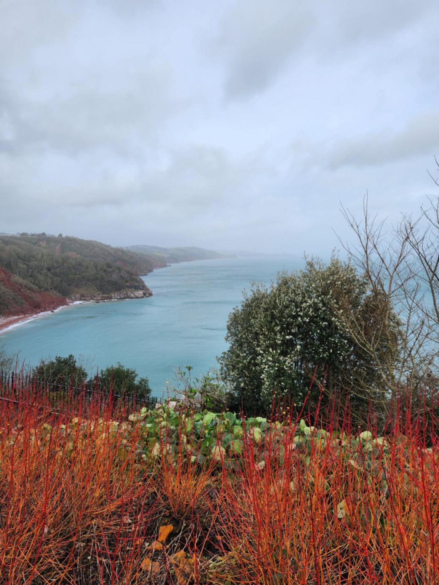 Rose Court Holiday Apartments Torquay Luaran gambar