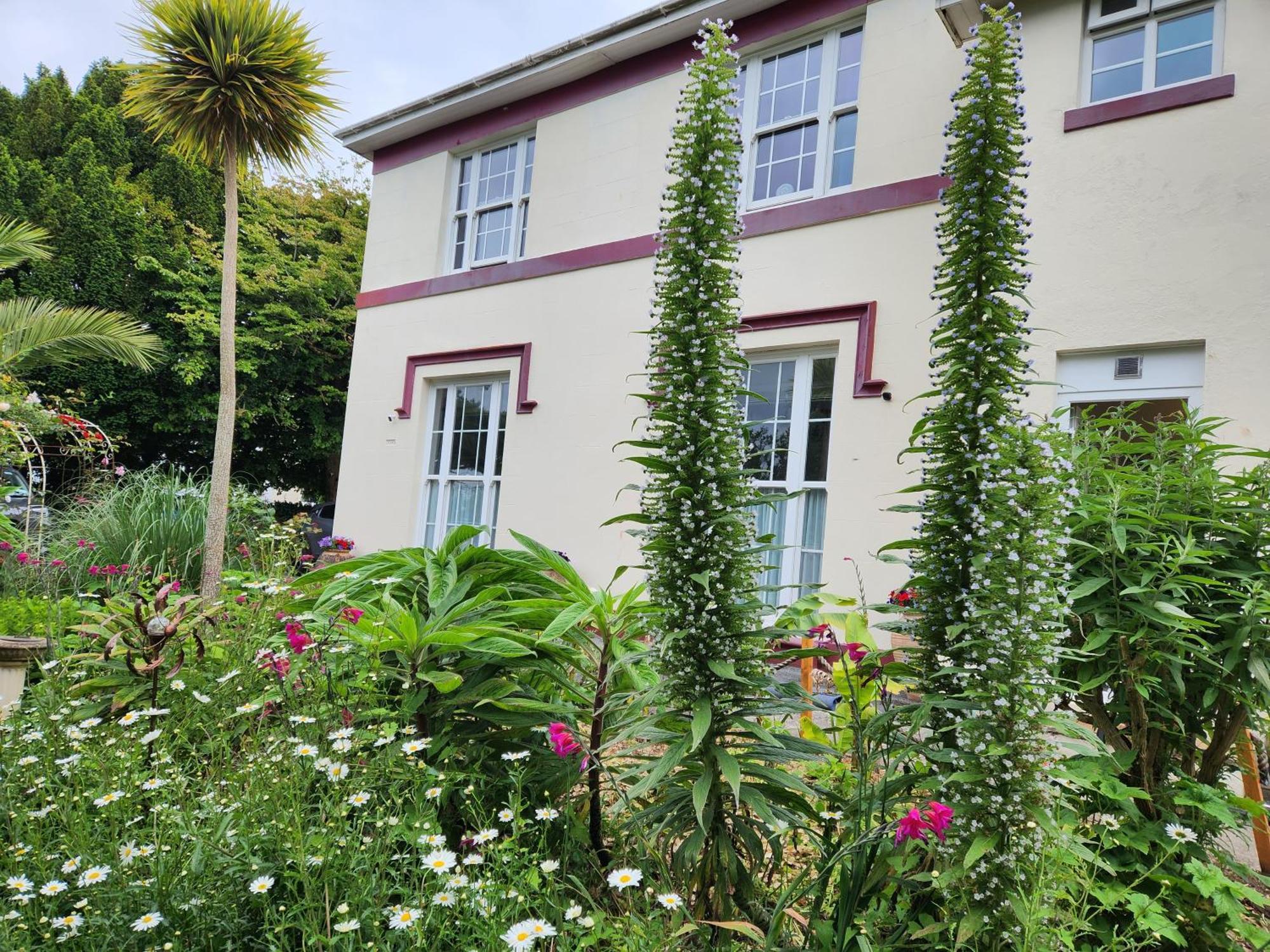 Rose Court Holiday Apartments Torquay Luaran gambar