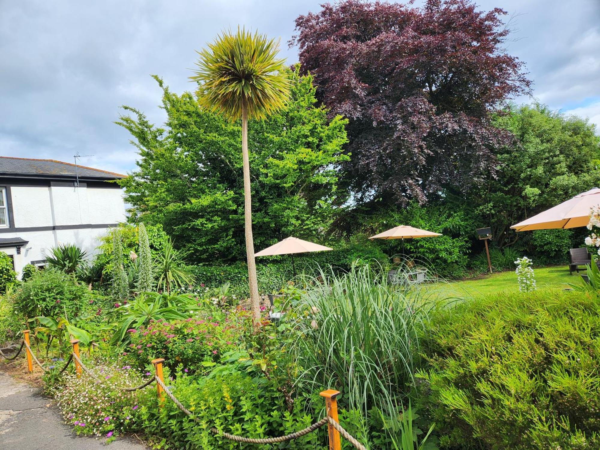Rose Court Holiday Apartments Torquay Luaran gambar