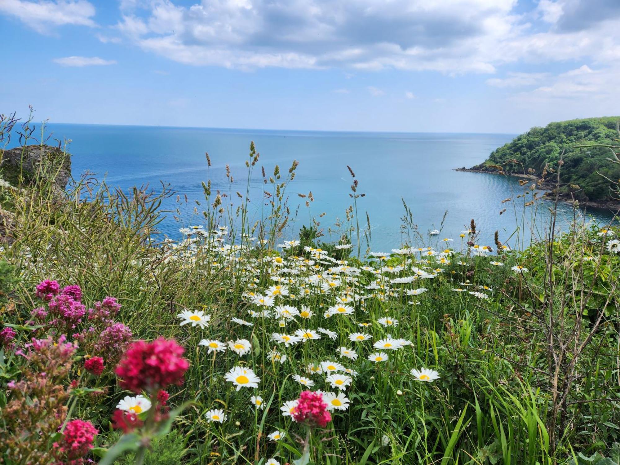 Rose Court Holiday Apartments Torquay Luaran gambar