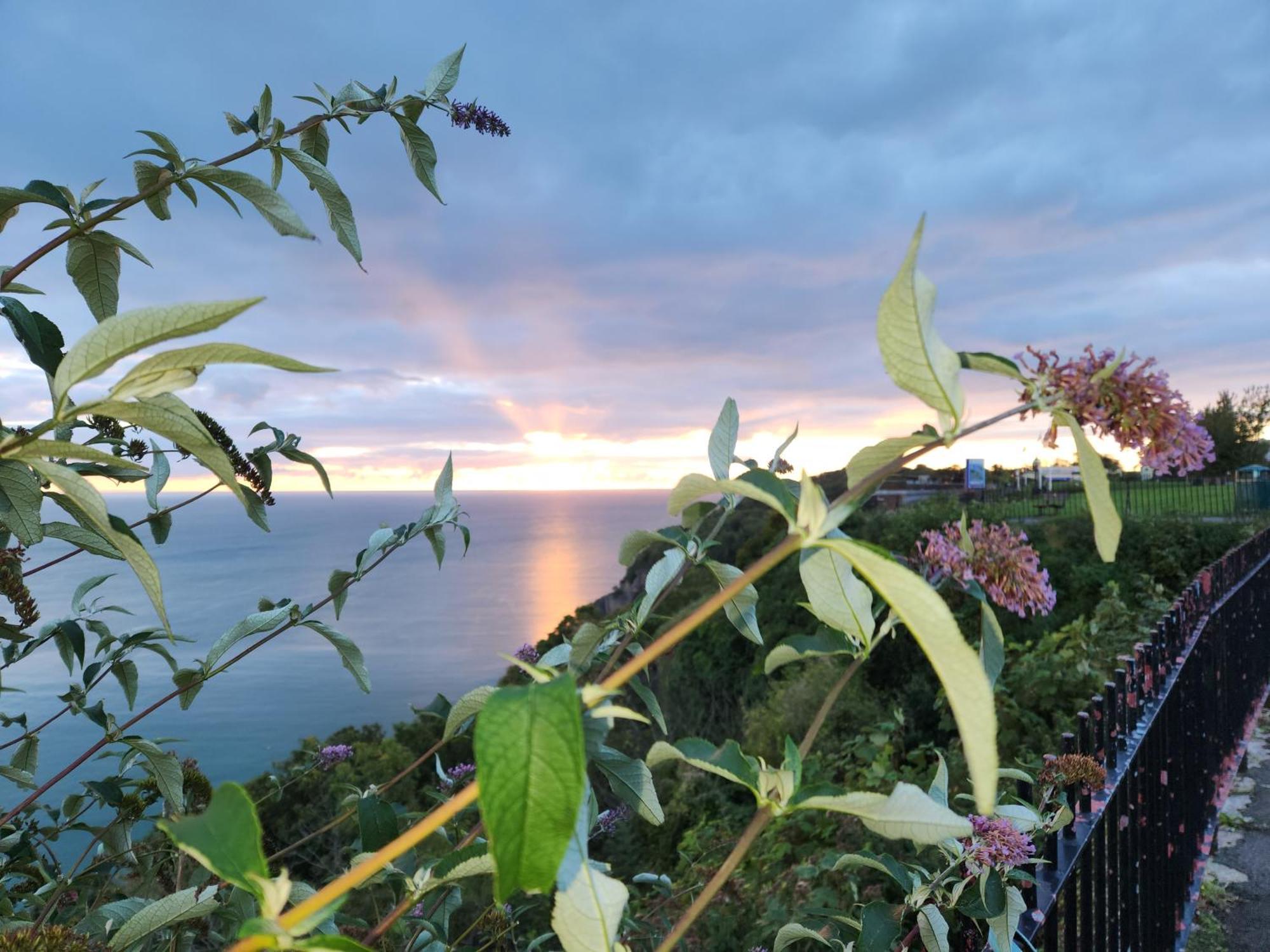 Rose Court Holiday Apartments Torquay Luaran gambar