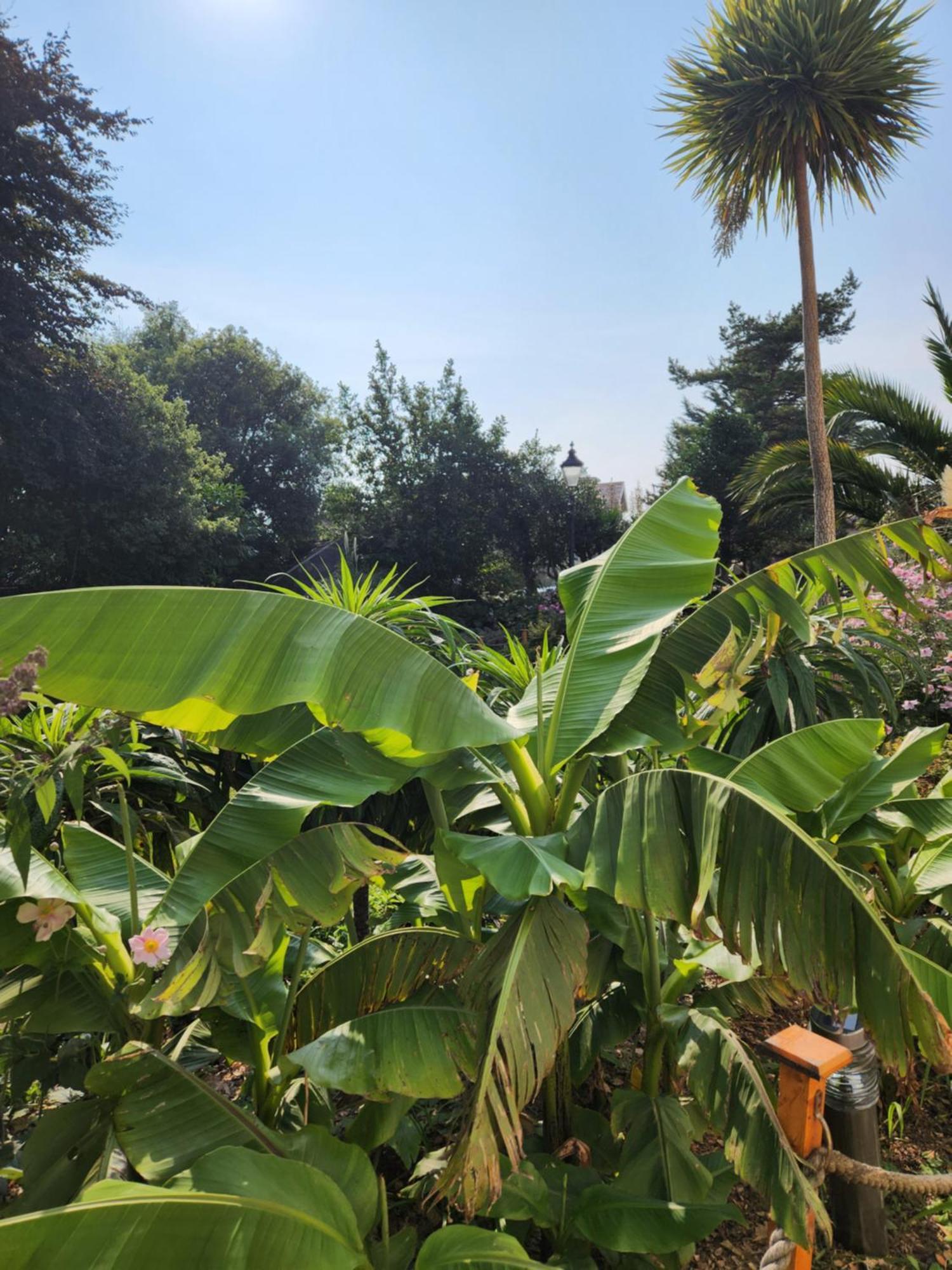 Rose Court Holiday Apartments Torquay Luaran gambar